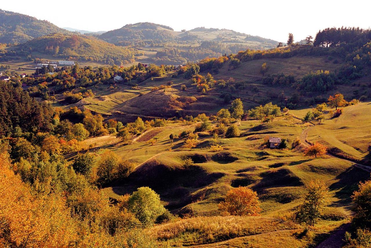Penzion Nostalgia Banska Stiavnica Bagian luar foto